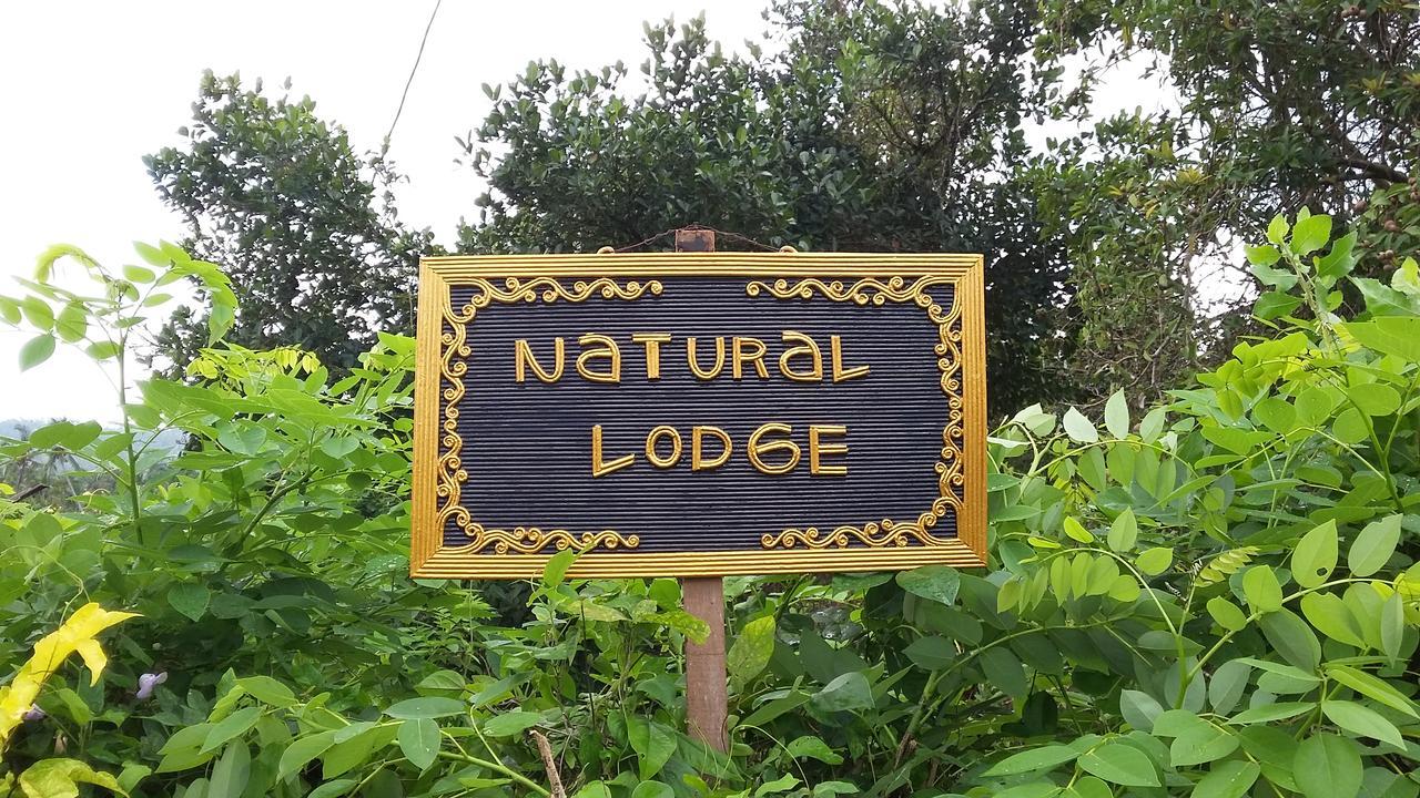 Natural Lodge 2 Selemadeg  외부 사진